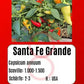 Santa Fe Grande DER TOMATENFLÜSTERER