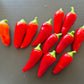 Santa Fe Grande DER TOMATENFLÜSTERER