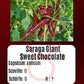 Saraga Giant Sweet Chocolate DER TOMATENFLÜSTERER