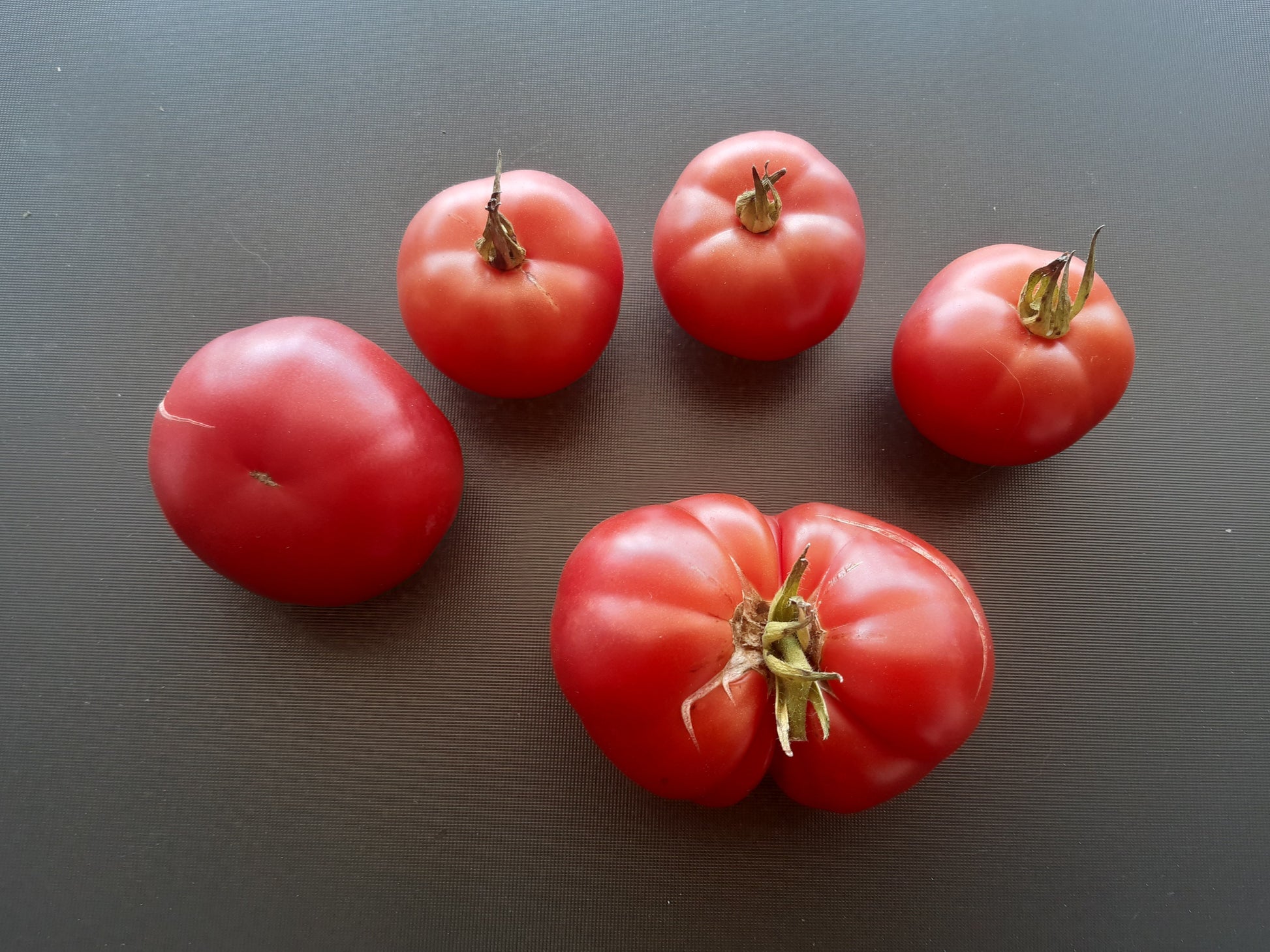 Saranda DER TOMATENFLÜSTERER