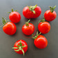 Sasha´s Altai DER TOMATENFLÜSTERER