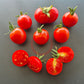 Sasha´s Altai DER TOMATENFLÜSTERER