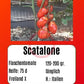 Scatalone DER TOMATENFLÜSTERER