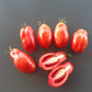 Scatalone DER TOMATENFLÜSTERER