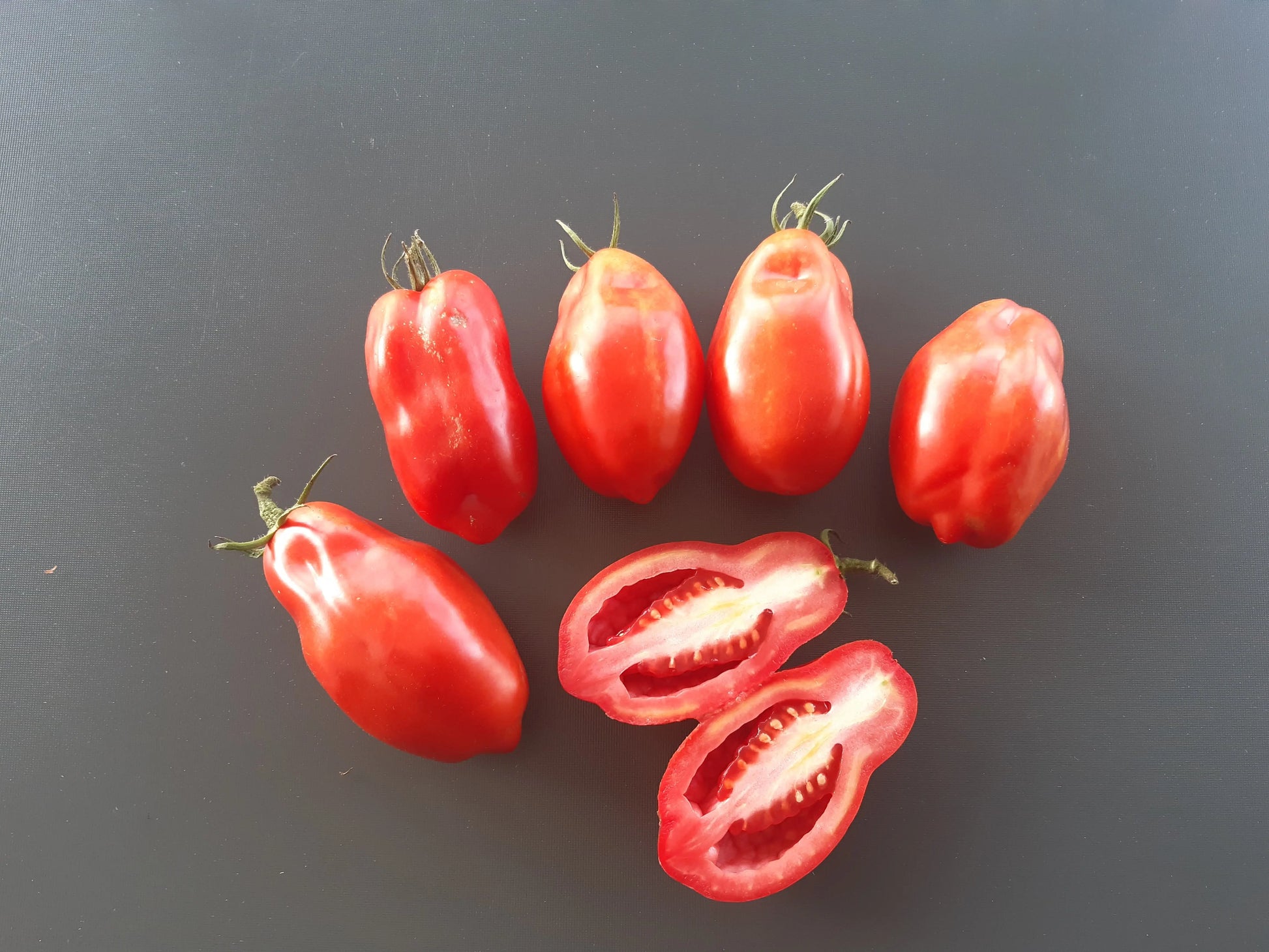Scatalone DER TOMATENFLÜSTERER