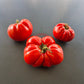 Schuntukskij Velikan DER TOMATENFLÜSTERER