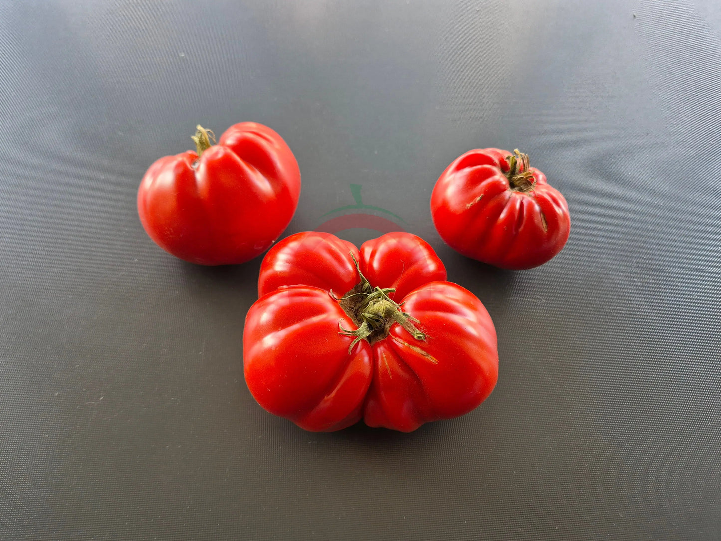 Schuntukskij Velikan DER TOMATENFLÜSTERER