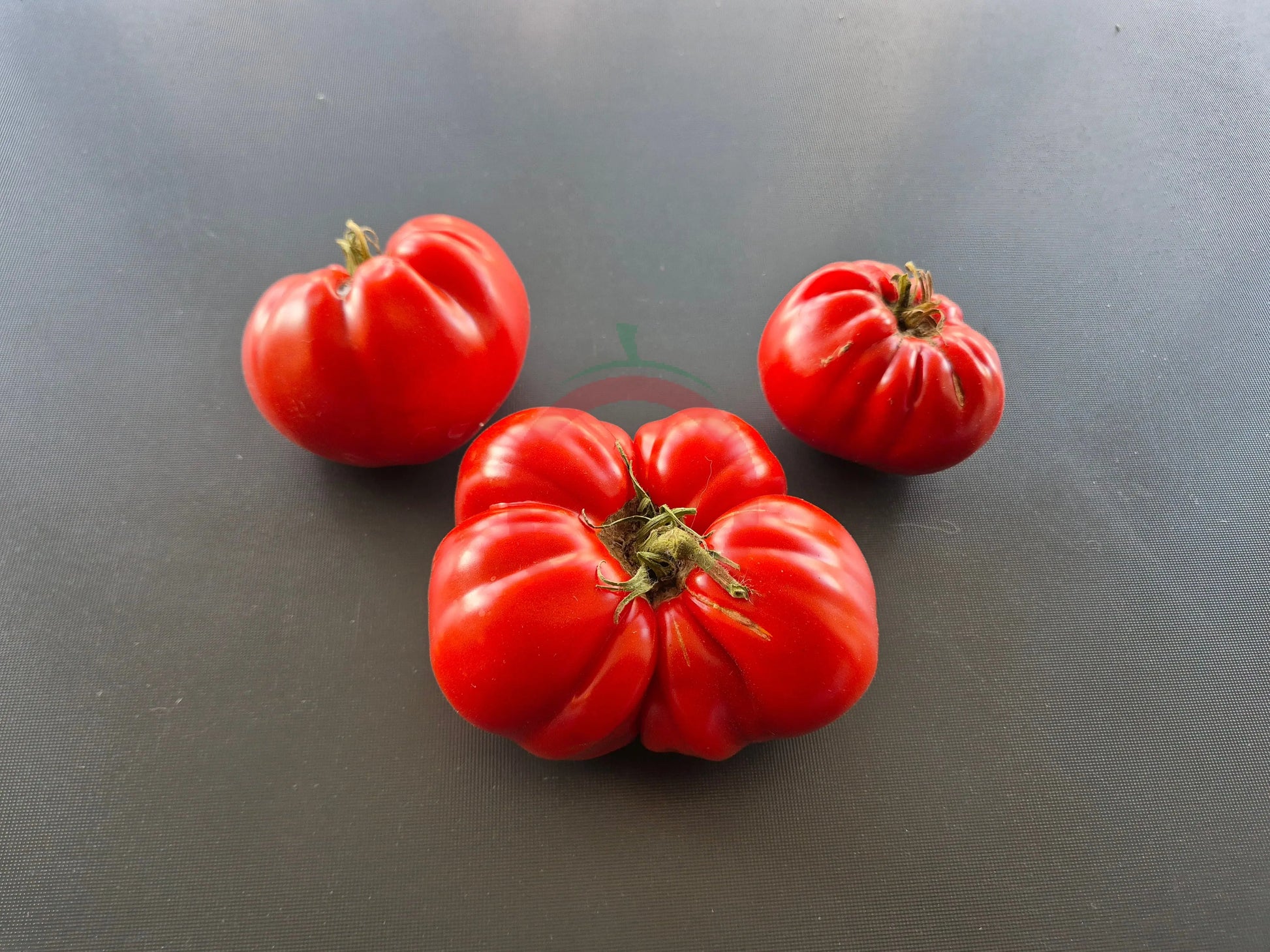 Schuntukskij Velikan DER TOMATENFLÜSTERER