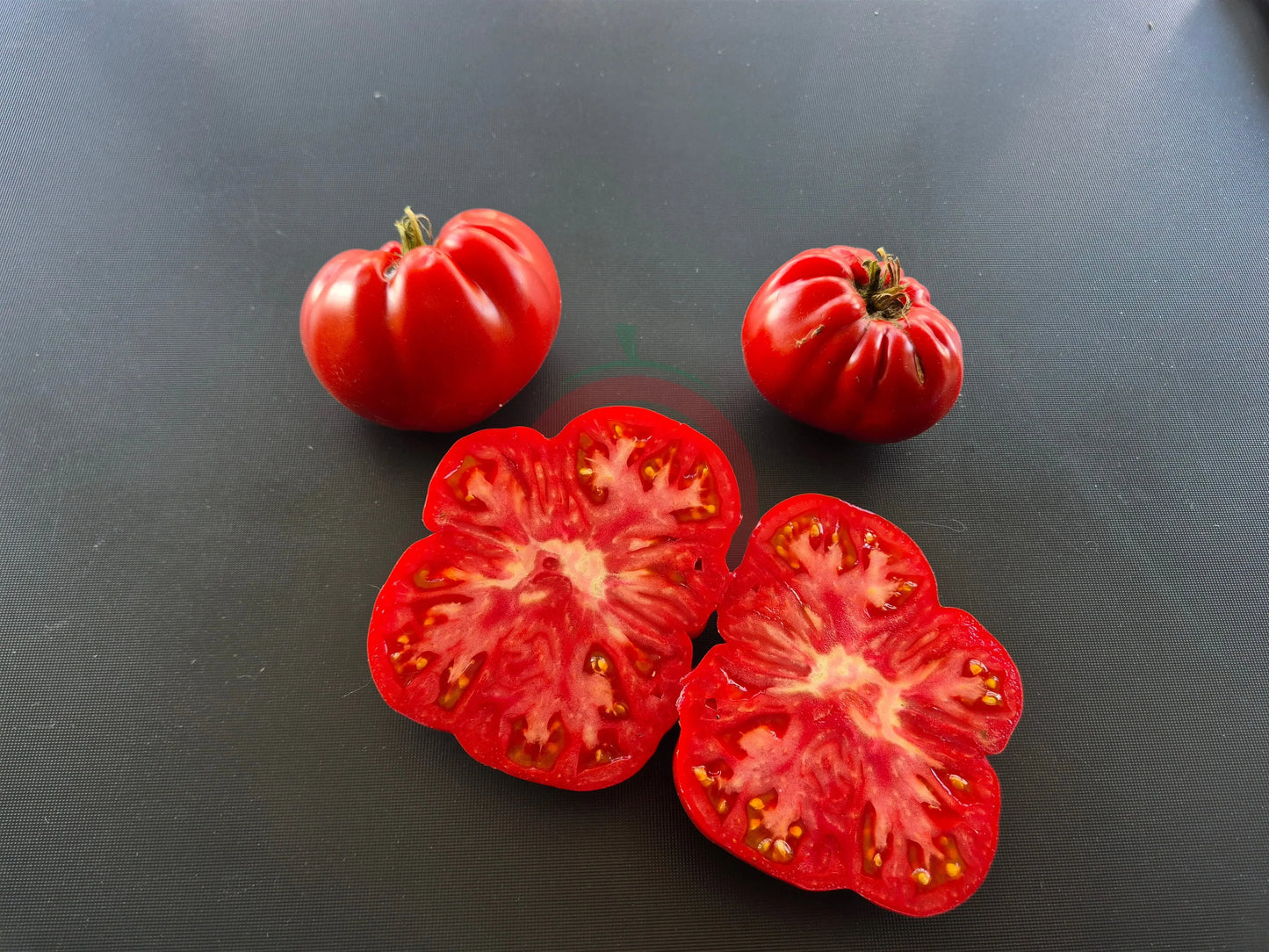 Schuntukskij Velikan DER TOMATENFLÜSTERER