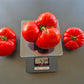 Schuntukskij Velikan DER TOMATENFLÜSTERER