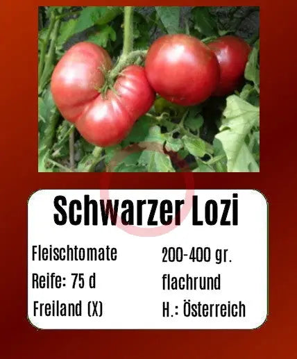 Schwarzer Lozi DER TOMATENFLÜSTERER