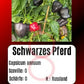 Schwarzes Pferd DER TOMATENFLÜSTERER