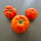 Scorpio DER TOMATENFLÜSTERER