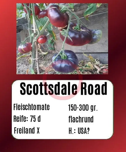 Scottsdale Road DER TOMATENFLÜSTERER