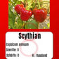 Scythian DER TOMATENFLÜSTERER