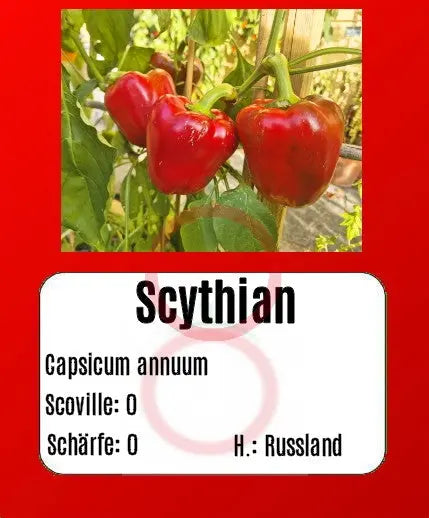 Scythian DER TOMATENFLÜSTERER