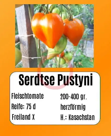 Serdtse Pustyni DER TOMATENFLÜSTERER