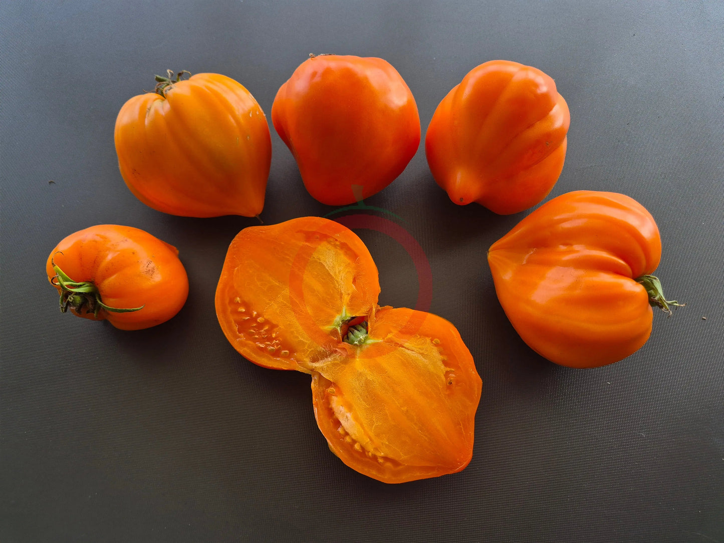 Serdtse Pustyni DER TOMATENFLÜSTERER