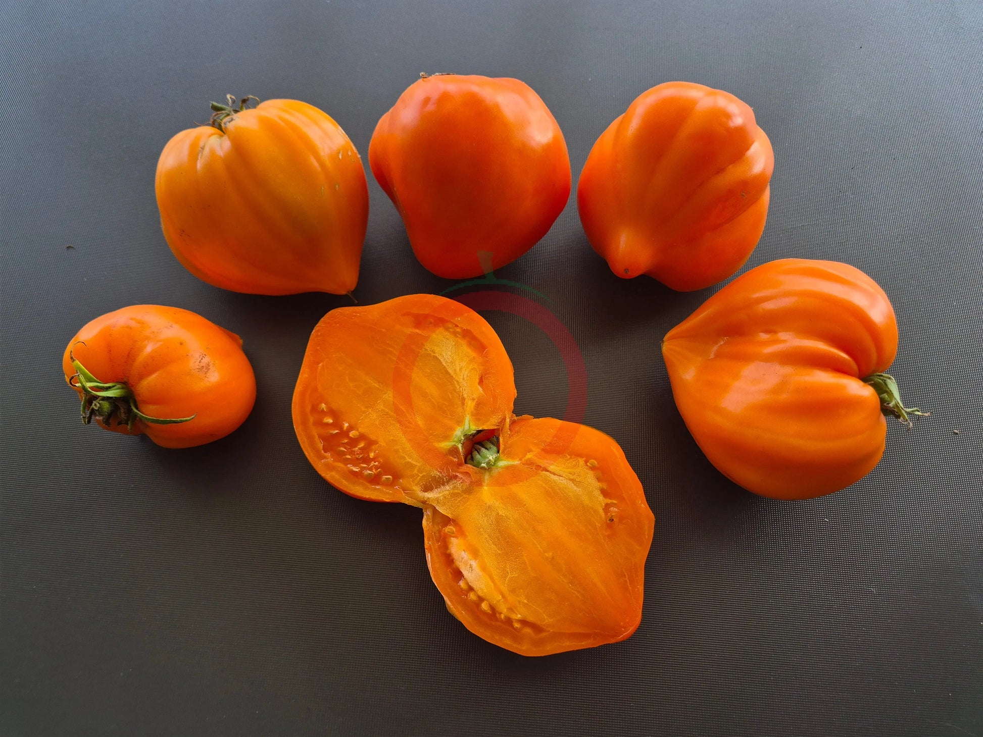 Serdtse Pustyni DER TOMATENFLÜSTERER