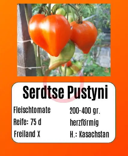 Serdtse Pustyni DER TOMATENFLÜSTERER