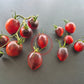 Severnyye Yagody Valentiny DER TOMATENFLÜSTERER