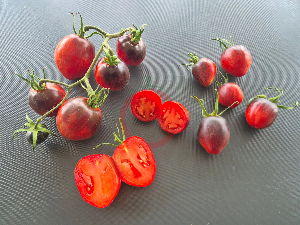 Severnyye Yagody Valentiny DER TOMATENFLÜSTERER