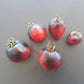 Sgt. Pepper´s DER TOMATENFLÜSTERER