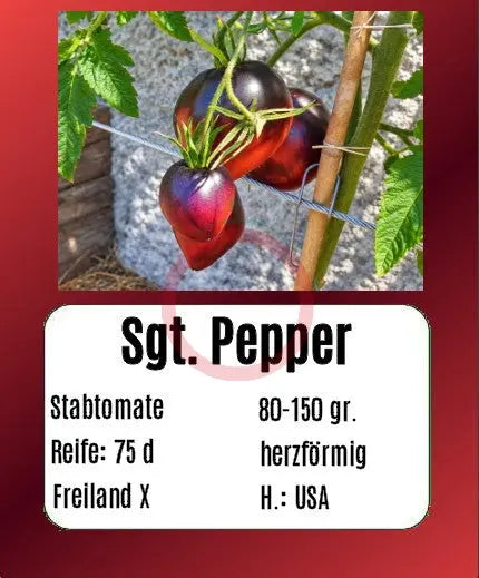 Sgt. Pepper´s DER TOMATENFLÜSTERER