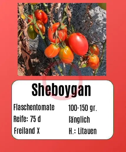 Sheboygan DER TOMATENFLÜSTERER