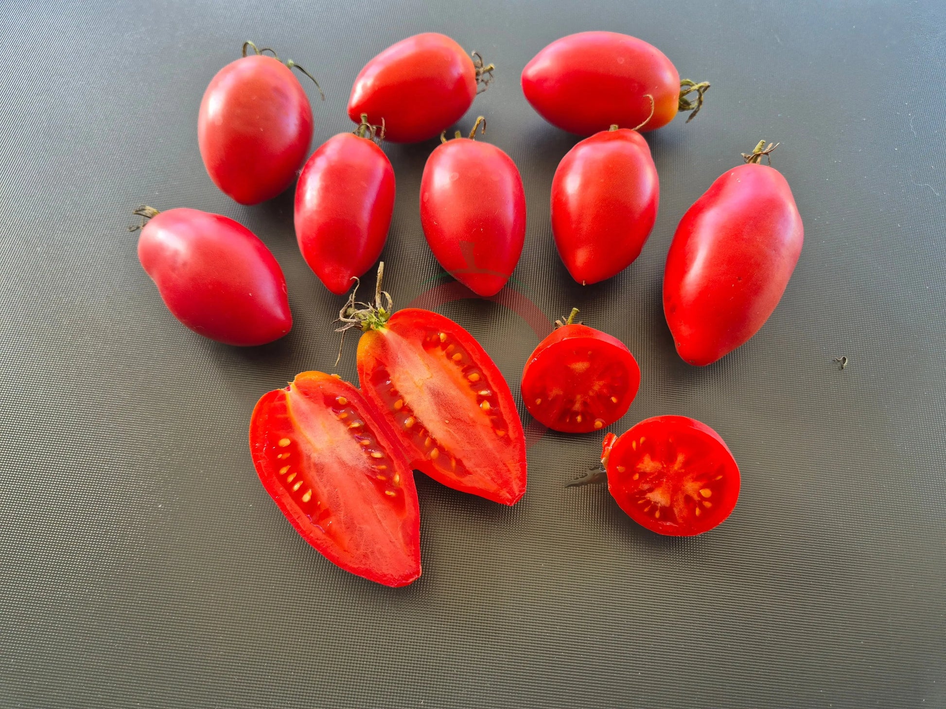 Sheboygan DER TOMATENFLÜSTERER