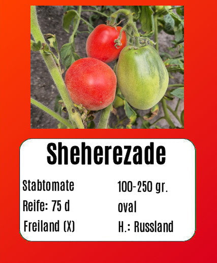 Sheherezade DER TOMATENFLÜSTERER