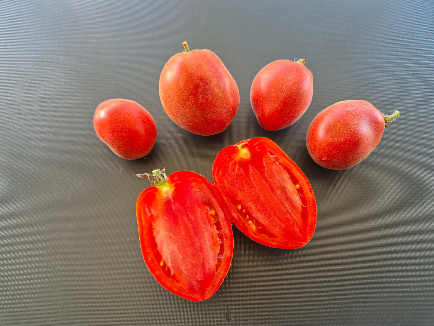 Sheherezade DER TOMATENFLÜSTERER