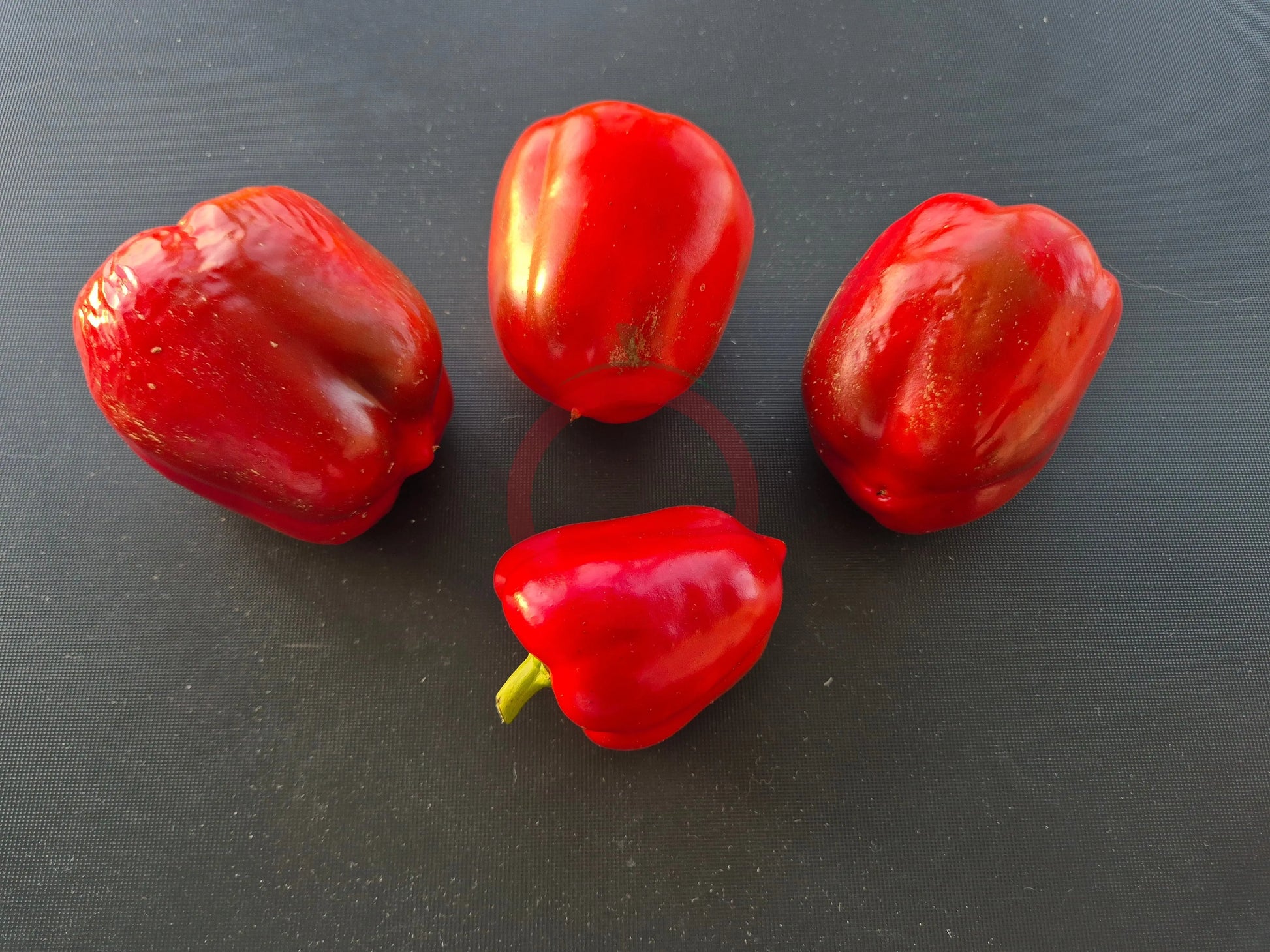 Sherlock Holmes DER TOMATENFLÜSTERER