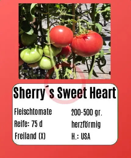 Sherry´s Sweet Heart DER TOMATENFLÜSTERER