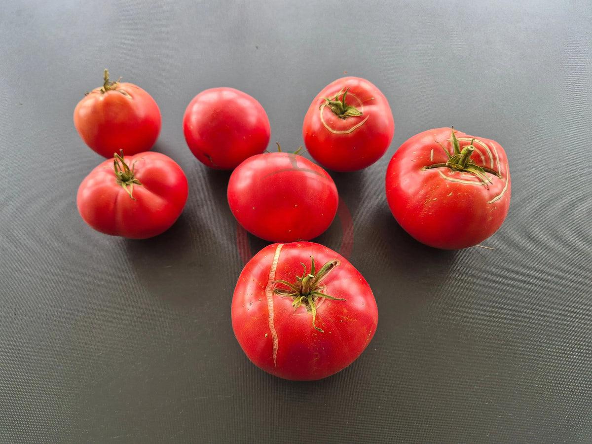 Sherry´s Sweet Heart DER TOMATENFLÜSTERER