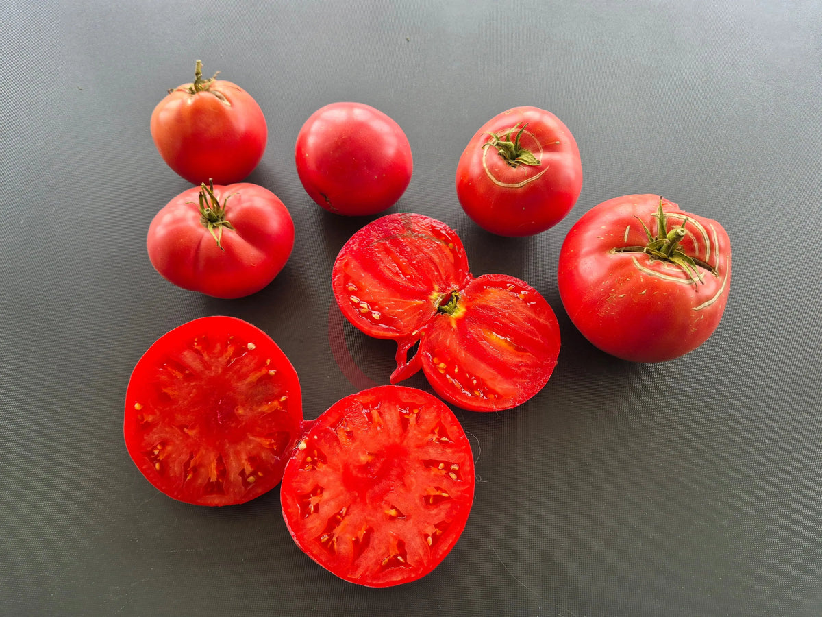 Sherry´s Sweet Heart DER TOMATENFLÜSTERER