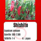 Shishito DER TOMATENFLÜSTERER