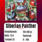 Siberian Panther DER TOMATENFLÜSTERER