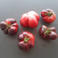 Siberian Tiger DER TOMATENFLÜSTERER