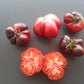 Siberian Tiger DER TOMATENFLÜSTERER