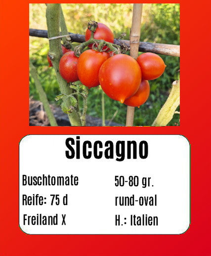 Siccagno DER TOMATENFLÜSTERER