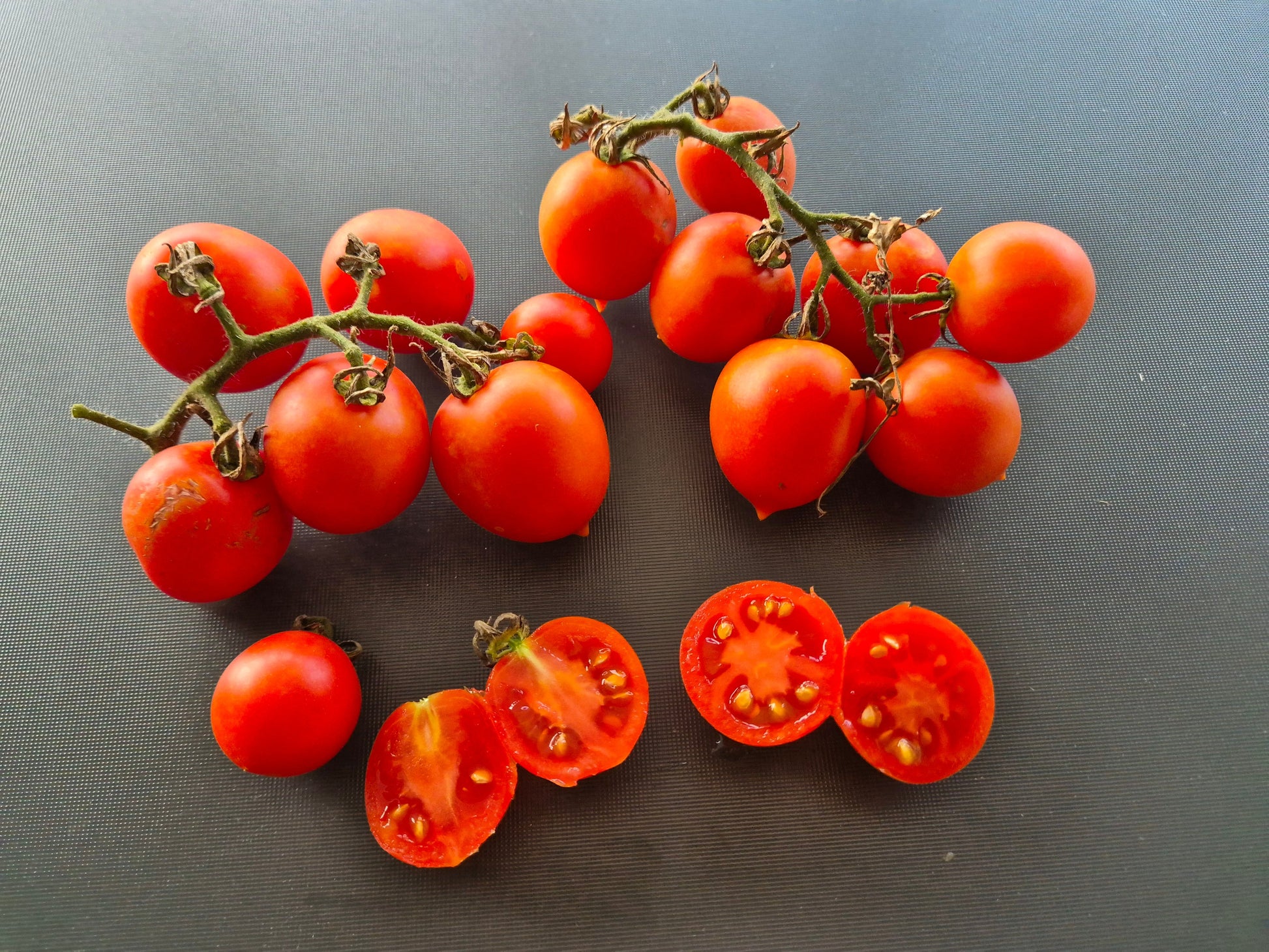 Siccagno DER TOMATENFLÜSTERER