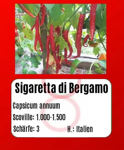 Sigaretta di Bergamo DER TOMATENFLÜSTERER