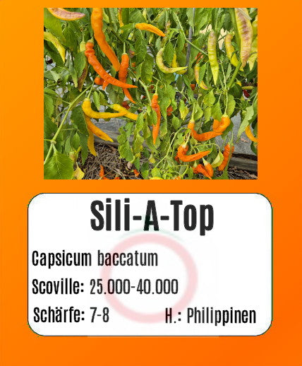 Sili-A-Top DER TOMATENFLÜSTERER