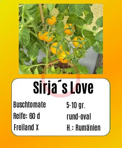 Sirja´s Love DER TOMATENFLÜSTERER