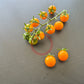 Sirja´s Love DER TOMATENFLÜSTERER