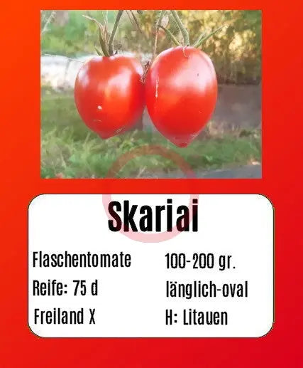 Skariai DER TOMATENFLÜSTERER