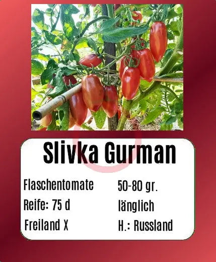 Slivka Gurman DER TOMATENFLÜSTERER