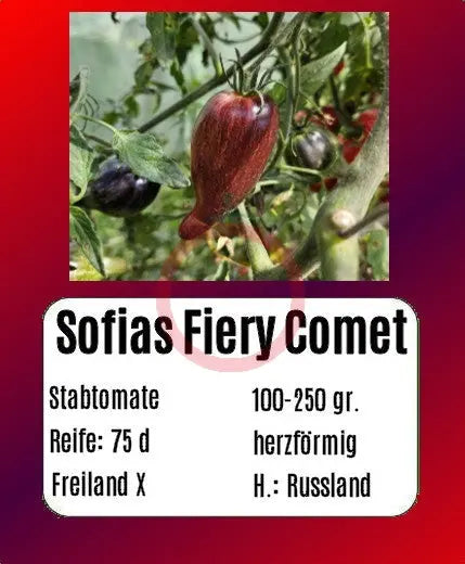 Sofias Fiery Comet DER TOMATENFLÜSTERER