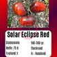 Solar Eclipse DER TOMATENFLÜSTERER